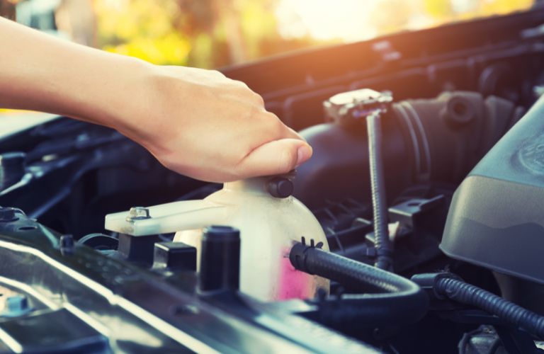 Mechanic checking level of coolant in the engine